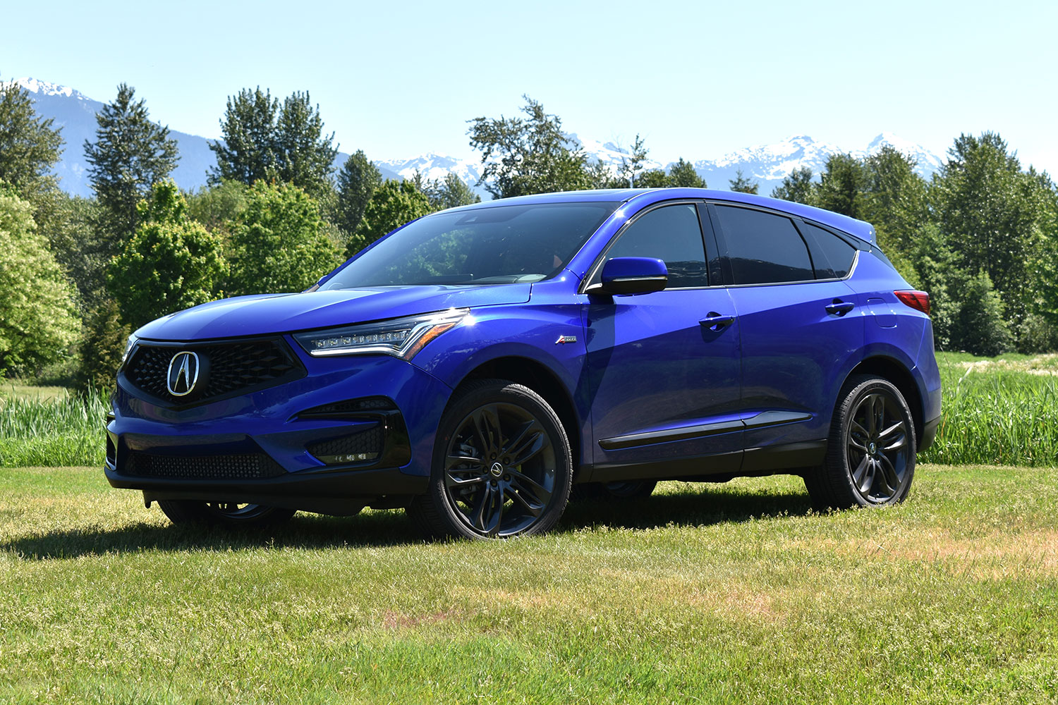 2019 Acura RDX First Drive Review | Digital Trends