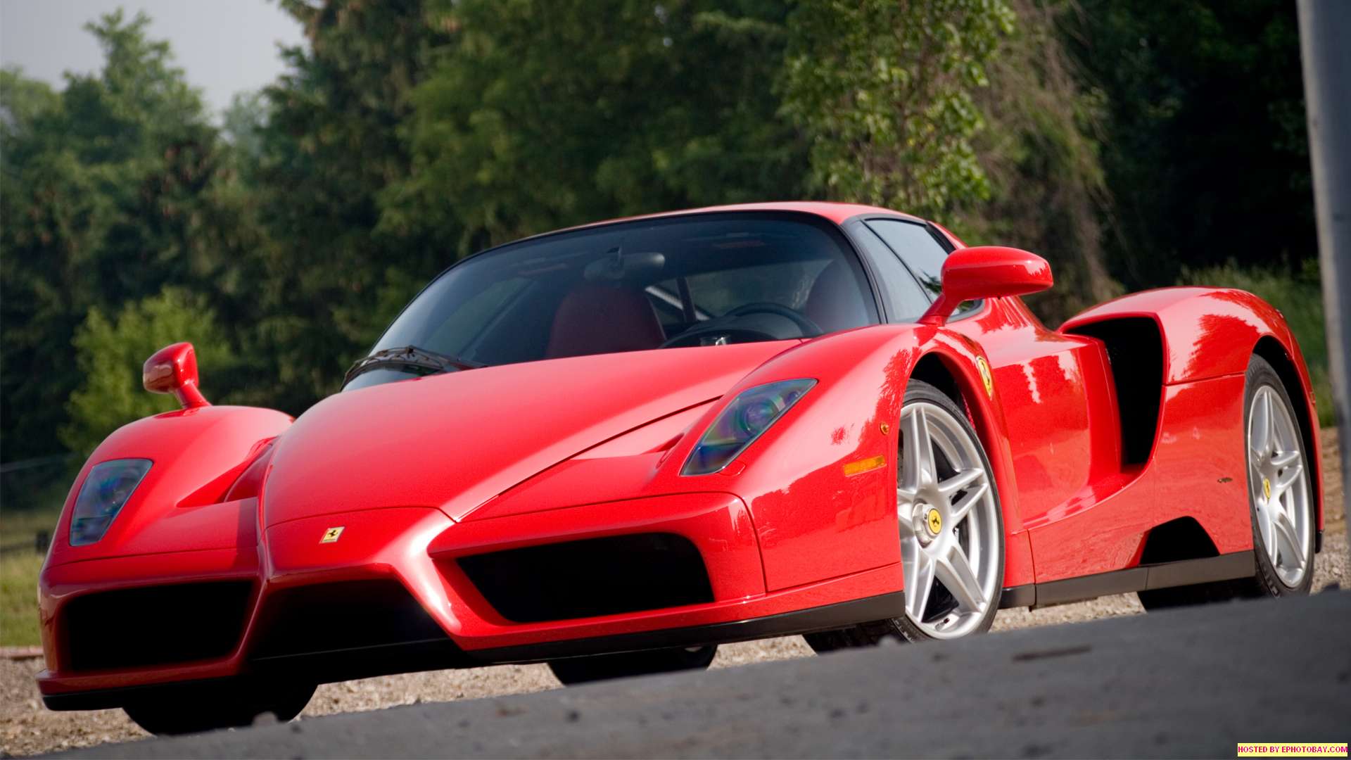 Ferrari Enzo - The Ultimate Guide