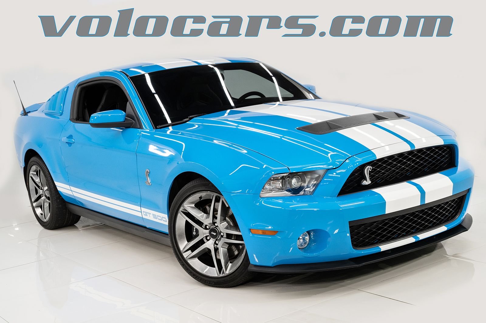 2012 Ford Shelby | Volo Museum