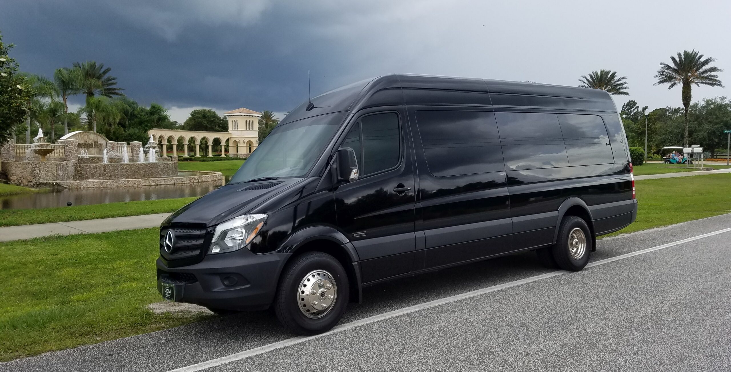 14 Passenger Chauffeured Mercedes Luxury Van - TROPICAL TRANSPORTATION  SERVICES, LLC