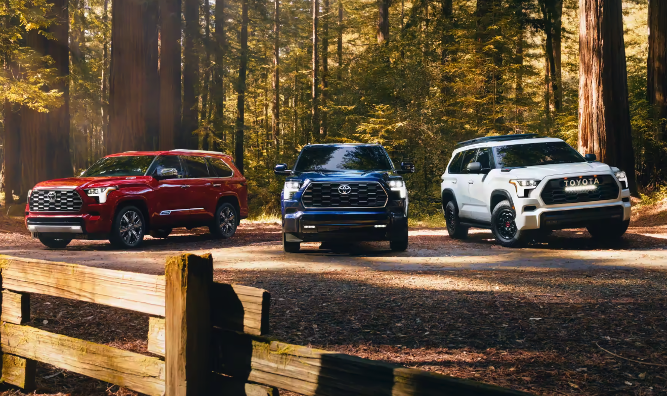 2023 Toyota Sequoia Colors | North Hollywood Toyota